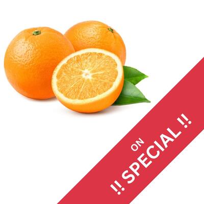 Oranges Navel  NEW SEAON