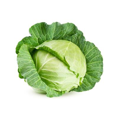 Cabbage - Whole Large Drum