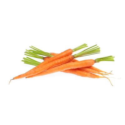 Carrot Dutch Orange Bunch