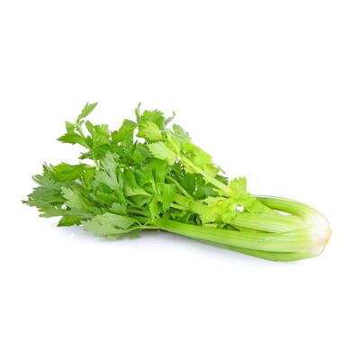 Celery