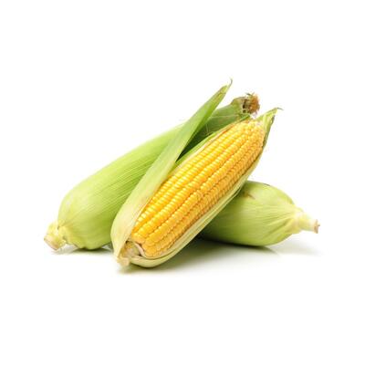 Corn loose