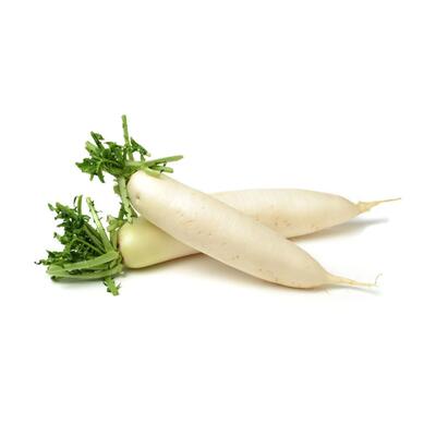 Daikon Radish