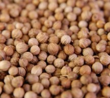 Coriander Seeds 