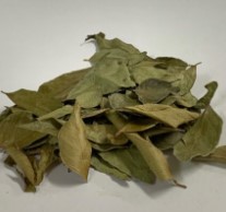 Curry Leaves 