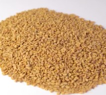 Fenugreek Seeds 