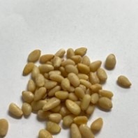Pine Nuts 