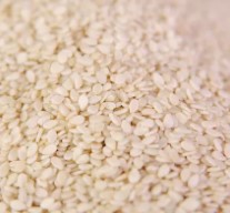 Sesame seeds White 