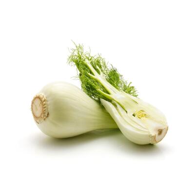 Fennel  Bulb Large