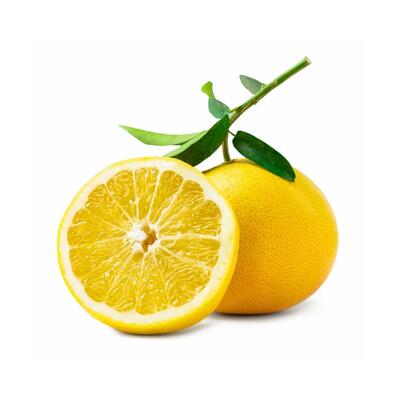Grapefruit Yellow Large