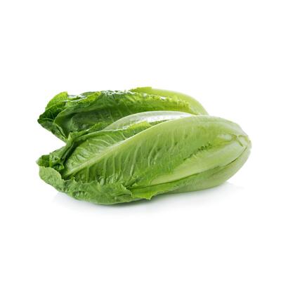 Lettuce - Large Cos