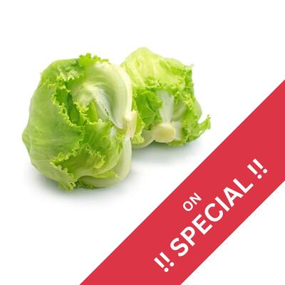 Lettuce - Iceberg