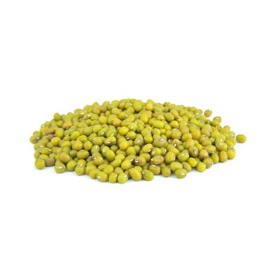Mung Bean