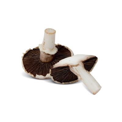 Mushrooms Field 250G