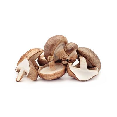 Mushroom Shiitake