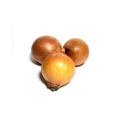Onion Medium Brown
