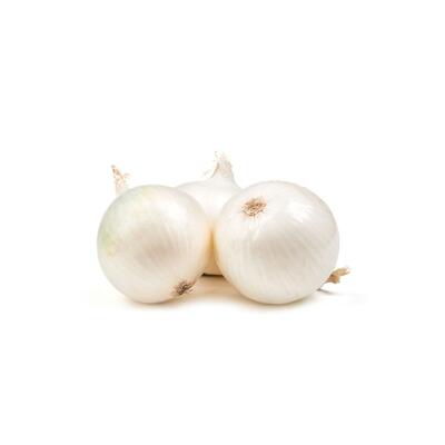 Onion White Each