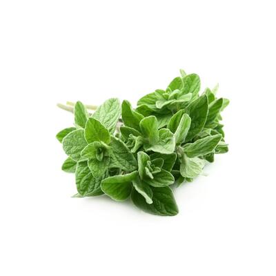 Oregano
