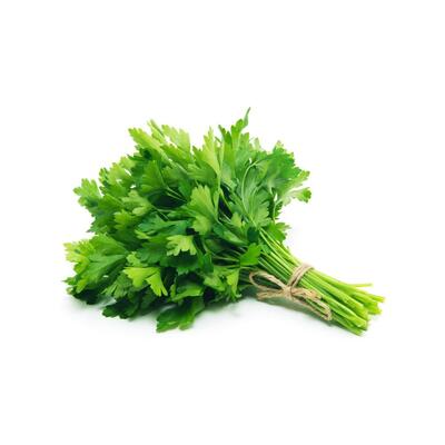 Continental Parsley