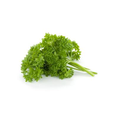 Curly Parsley