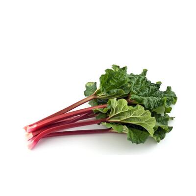 Rhubarb