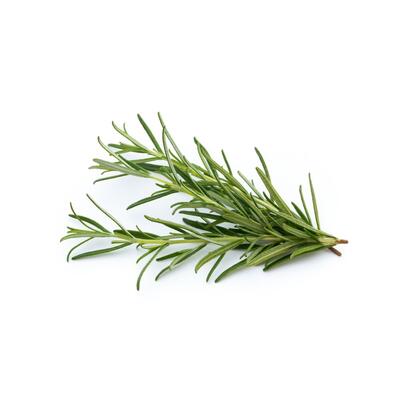 Rosemary