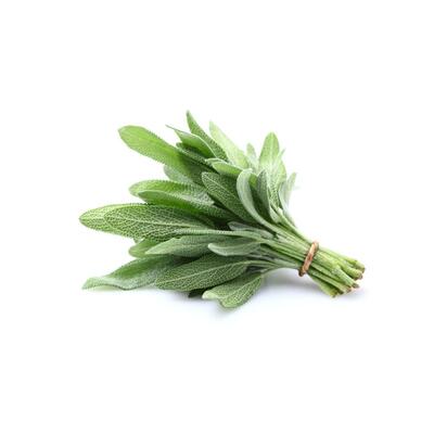 Sage